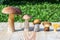 Different mushrooms are in descending order (cep, brown cap boletus, orange-cap boletus, paxil, chanterelle)