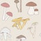 Different mushrooms seamless pattern. Hand drawn fungi. Armillaria, blewits, boletus, chanterelle. Colorful vector