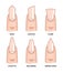 Different nail shapes - Fingernails fashion Trends