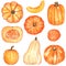 Different orange pumpkin squash clipart set, hand drawn watercolor illustration