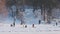 Different people wander and slide in hilly park with snow