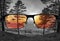 Different perception of world. Colorful view of sunset over sea and coniferous forest in  the glasses. Looking through glasses