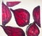 Different pieces of fresh, raw, red beet in section in unusual composition on white background.