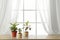 Different plants in pots on window sill. Home decor