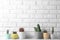 Different potted cacti on table near brick wall. Interior decor