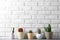 Different potted cacti on table near brick wall, space for text. Interior decor