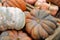 Different pumpkins stacking in pile in harvest season