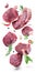 Different raw beef steaks on and seasonings levitating on white background. File contains clipping path