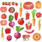 Different red, orange, purple vegetables clipart set, pumpkin, carrot, tomato, beetroot, pepper