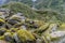 Different rocks covered with green moss and lichen