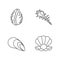 Different sea shells pixel perfect linear icons set