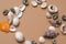 Different seashells on a ochre color background , the concept of holidays by the sea.