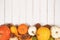 Different seasonal pumpkins and squashes with autumn leaves and fir cones at bottom of white wooden background