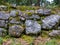 Different sections of a very old stone wall covered in moss