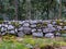 Different sections of a very old stone wall  I