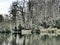 Different sharpness and blurring areas. Expressionistic visual effects. Dramatic weather, view of a pond. Background with trees