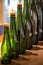 Different size of champagne bottles, traditional making champagne sparkling wine from chardonnay and pinor noir grapes, Epernay,