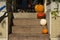 Different Size Halloween Autumn Pumpkins Decoration Porch Steps