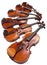 Different sized violins close up