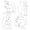 Different sketches of cute cartoon squirrels on white background. Hand drawn vector animal sketches for coloring. Squirrel on