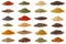 Different spices isolated on white background.