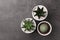 Different succulent plants in pots on grey table, flat lay. Space for text
