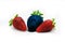 Different than the rest alone blue strawberry.Concept for genetically modified food