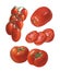 Different tomato varieties