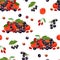 Different tropical berry seamless pattern. Acerola, maqui berry, acai and goji i