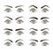 Different Type Woman Black Eyebrows Set. Vector