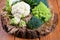 Different types of cabbage Broccoli, Romanesco on a wooden stump