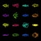 Different types of fish neon icons in set collection for design. Marine and aquarium fish vector symbol stock web