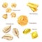 Different types of Italian pasta. Watercolor illustration