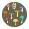 Different types of mushrooms set, vector illustration