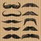 Different types of mustaches. Retro style.