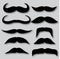 Different types of mustaches. Retro style.