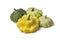 Different types of Pattypan Squashes