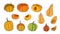 Different types of pumpkins set hand drawn in doodle style. Autumn pumpkin line art set