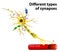 Different types of synapses