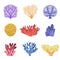 Different Types Of Tropical Reef Coral Set