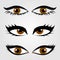 Different types of womens eyes