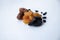 Different useful dried fruits on a white background. Prunes, dried apricots, dates and raisins. Appetizing picture for fruit