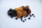 Different useful dried fruits on a white background. Prunes, dried apricots, dates and raisins. Appetizing picture for fruit