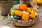Different varieties of decorative artificial pumpkins in a wicker bowl on a wooden farmer`s counter. Vegetable Harvest Festival,