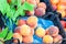 Different varieties of peaches on sale in a local bazaar kemer turkey. Fresh fruits for juice