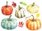 Different varieties of pumpkins.