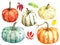 Different varieties of pumpkins and autumn leaves.