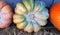 Different varieties pumpkins on straw. Colorful vegetables top view.