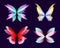 Different wings of fairy