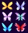 Different wings of fairy